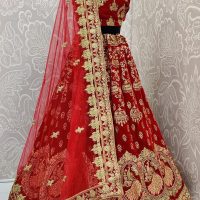 Heavy Velvet Peacock Gold Embroidery Bridal Lehenga Red and Gold