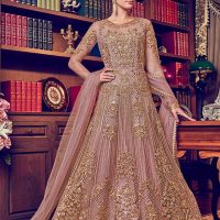 Dusky Pink Net with Antique Gold Embroidery Anarkali Standing