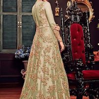 Lime Green Net with Gold Zari Embroidery and Stonework Anarkali Back Shot