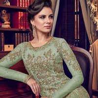 Mint Green Net with Antique Gold Embroidery Anarkali Seated