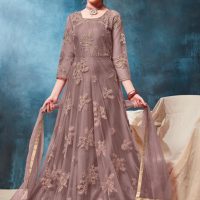 Brown Net Floral Thread Embroidered Anarkali Standing