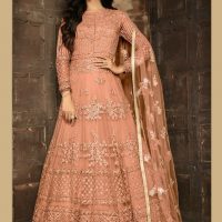 Peach Heavy Net EMBROIDERED SEQUINS and Threadwork Anarkali full standing