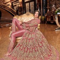 Pink Heavy Net Gold Embroidery Slit Anarkali Gown Seated