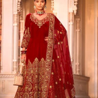 Red-and-Gold-Velvet-9000-Heavy-Gold--Zari-Embroidered-Sequins-Work-Anarkali-Suit
